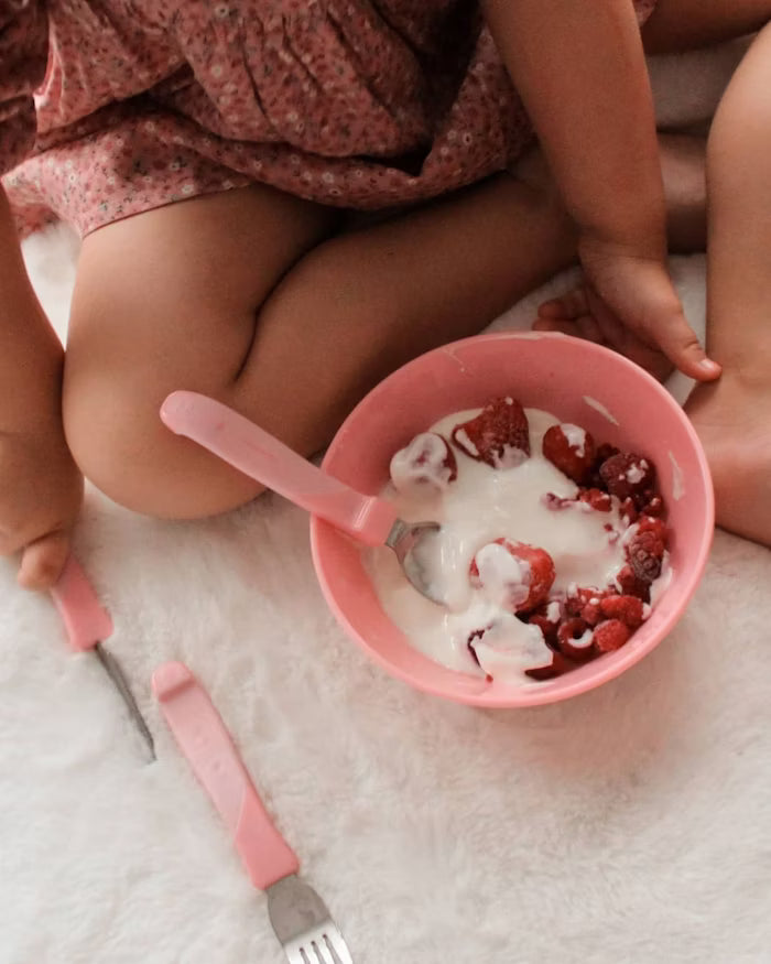 Bowl Twistshake