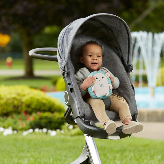 Erizo relajante con Vibraciones