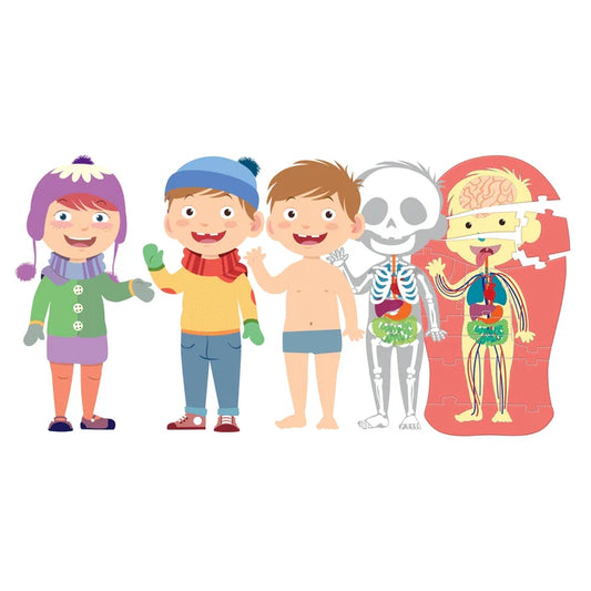 Rompecabezas el cuerpo humano