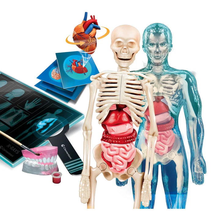 Super Anatomía