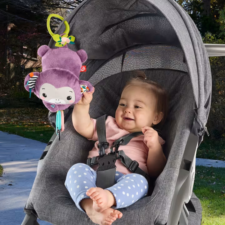 Changuito Musical Fisher-Price