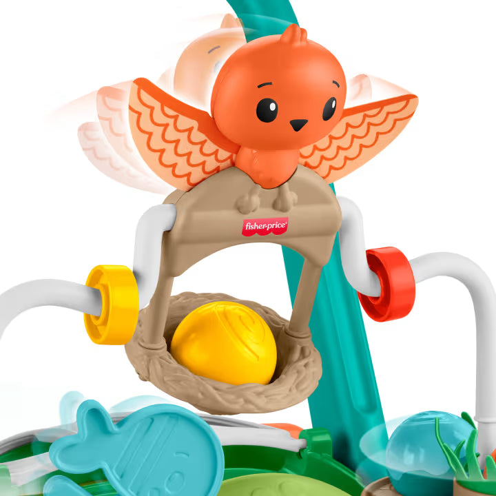 Andadera Tortuga Fisher-Price